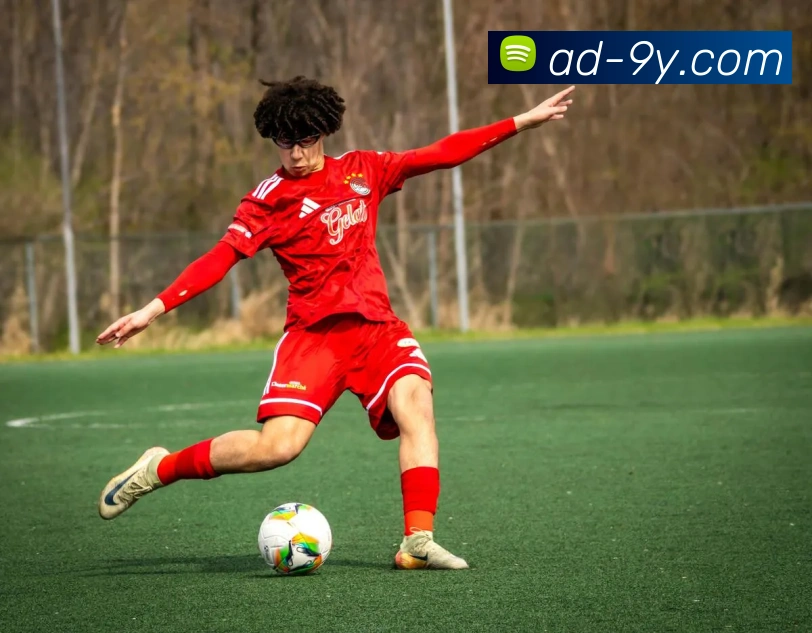 多媒体互动体验